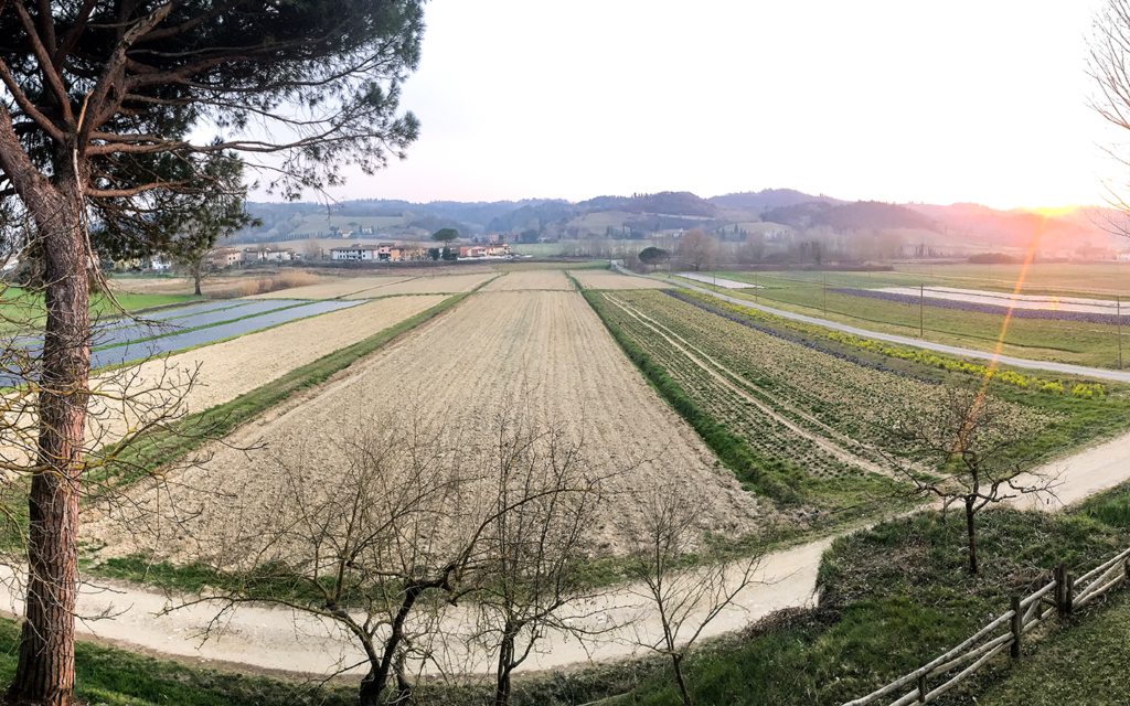 BFtuscany